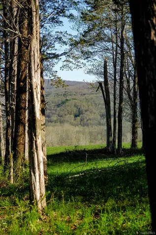 151 Benson Hill Road Dover Plains NY 12522