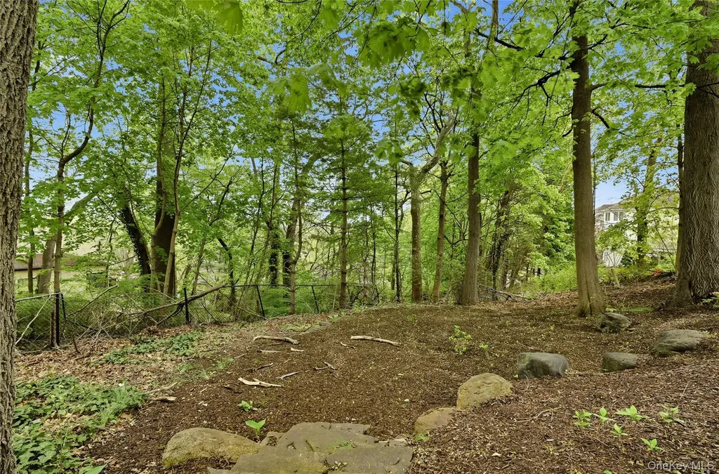 41 Evergreen Circle Manhasset NY 11030