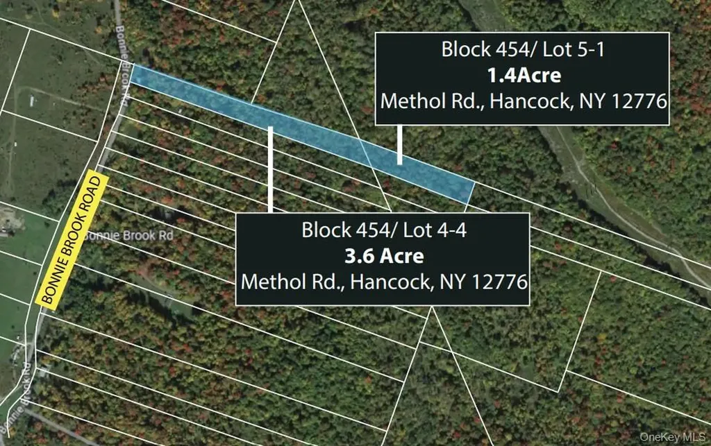Methol Road Roscoe NY 12776