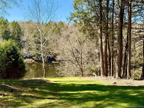 61 Pioneer Drive Swan Lake NY 12783