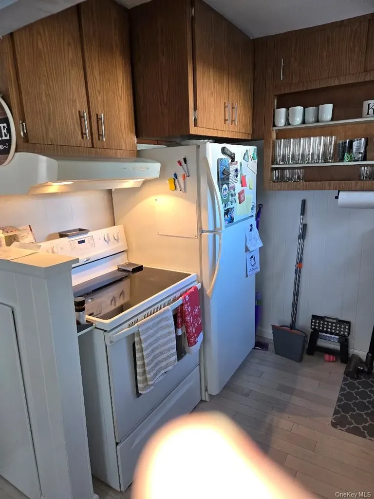 12 Carson Street Bethpage NY 11714