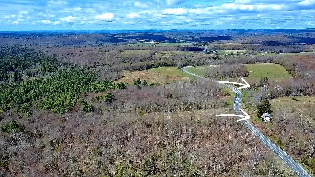 1089 Briscoe Road Swan Lake NY 12783
