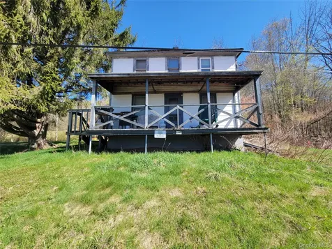 1089 Briscoe Road Swan Lake NY 12783