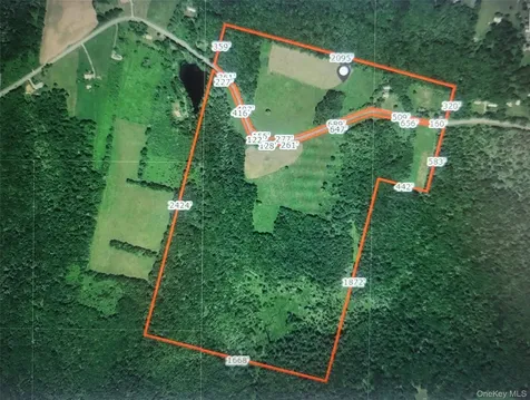 1089 Briscoe Road Swan Lake NY 12783