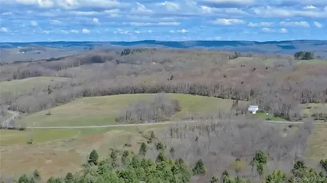 1089 Briscoe Road Swan Lake NY 12783
