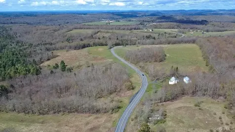 1089 Briscoe Road Swan Lake NY 12783