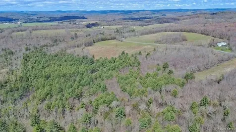 1089 Briscoe Road Swan Lake NY 12783