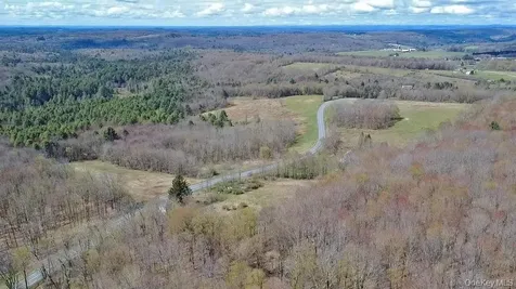 1089 Briscoe Road Swan Lake NY 12783