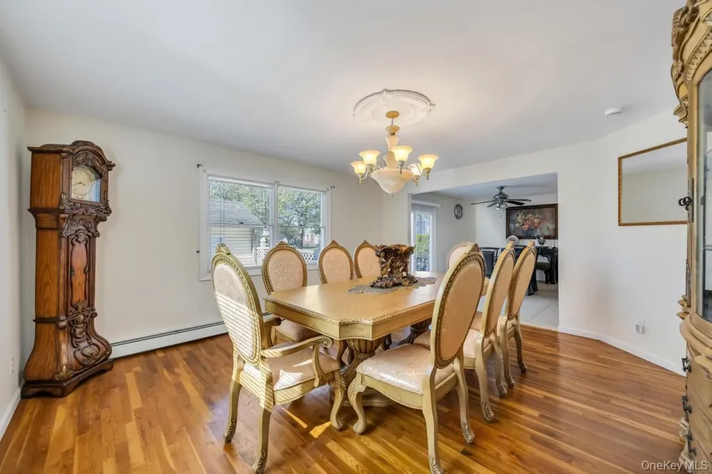 64 Cottage Place Mineola NY 11501