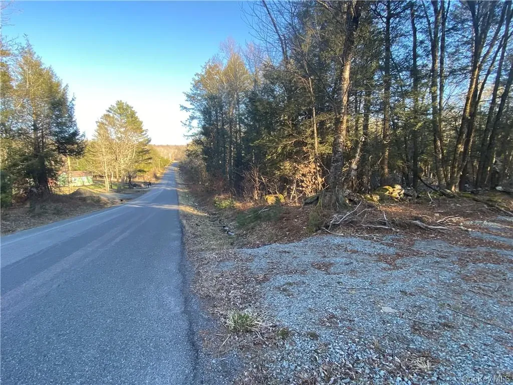 Friedman Road Harris NY 12742