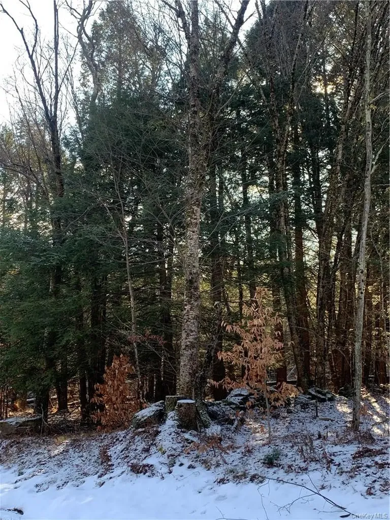 Friedman Road Harris NY 12742