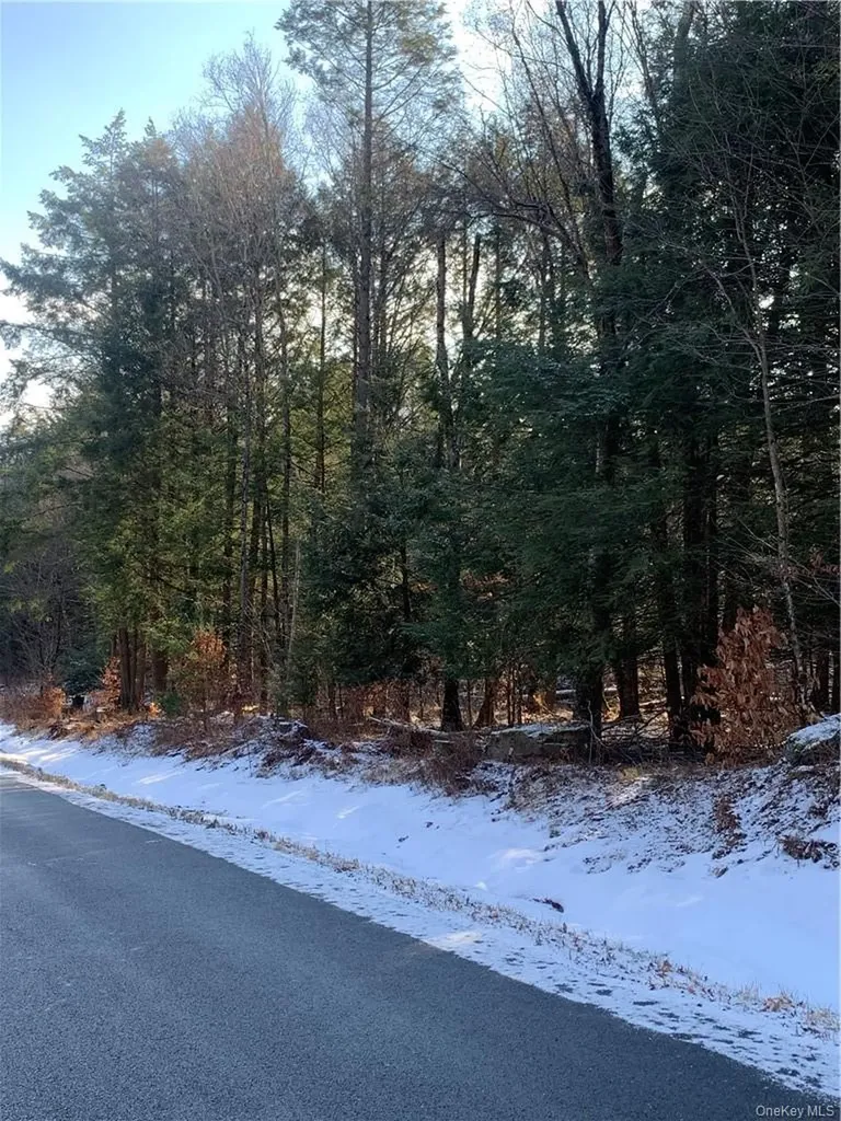 Friedman Road Harris NY 12742