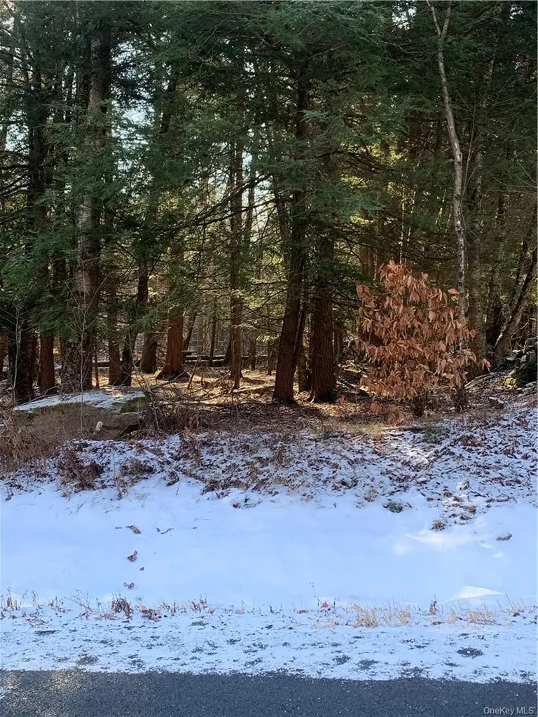 Friedman Road Harris NY 12742