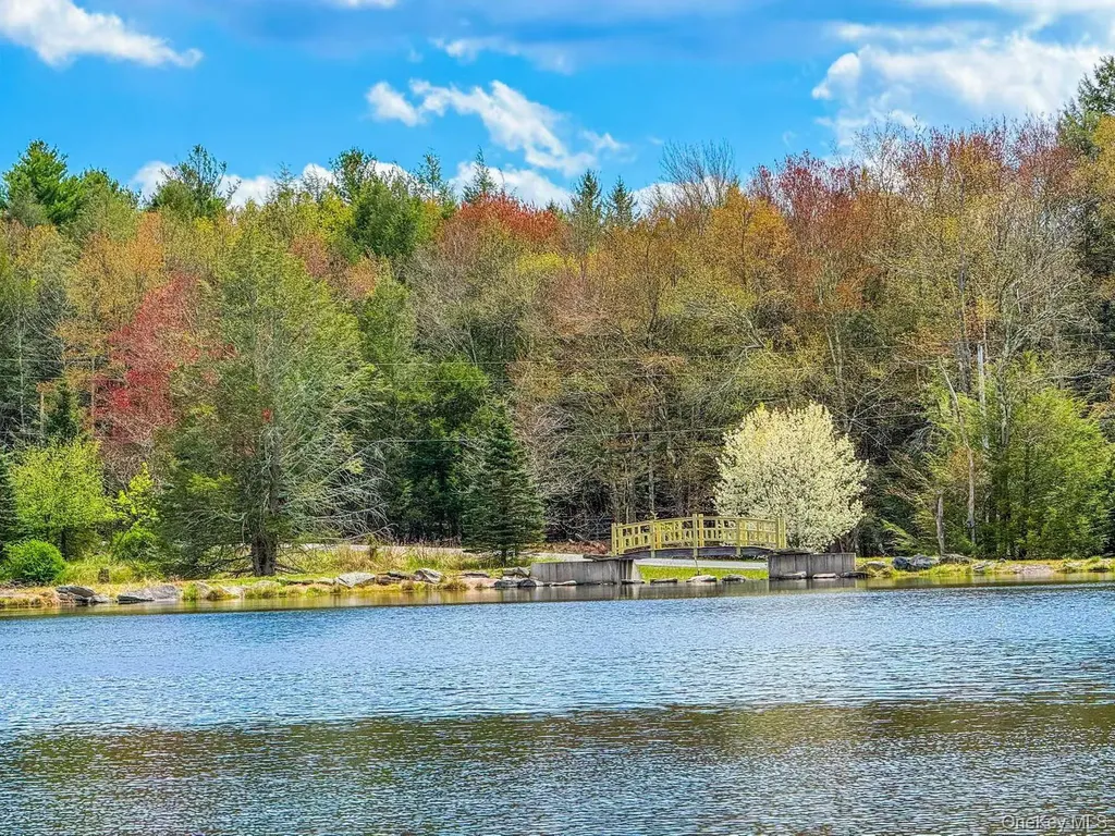 235 Cantrell Road Monticello NY 12701