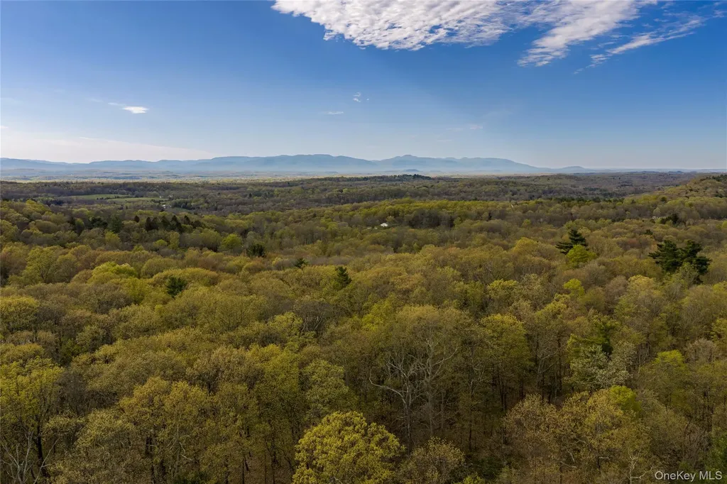 Schultz Hill Road Staatsburg NY 12580