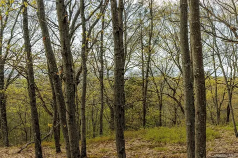 Schultz Hill Road Staatsburg NY 12580