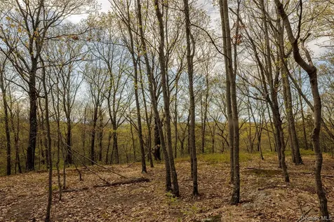 Schultz Hill Road Staatsburg NY 12580