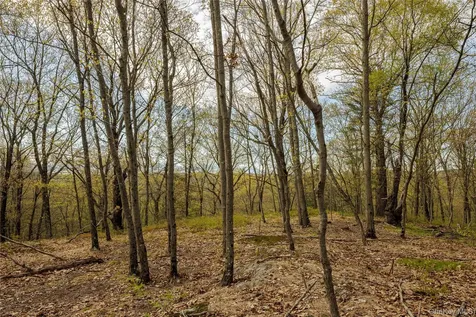 Schultz Hill Road Staatsburg NY 12580
