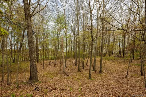 Schultz Hill Road Staatsburg NY 12580
