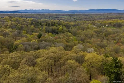 Schultz Hill Road Staatsburg NY 12580