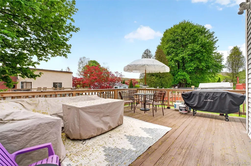 15 Roslyn Road Carmel NY 10512