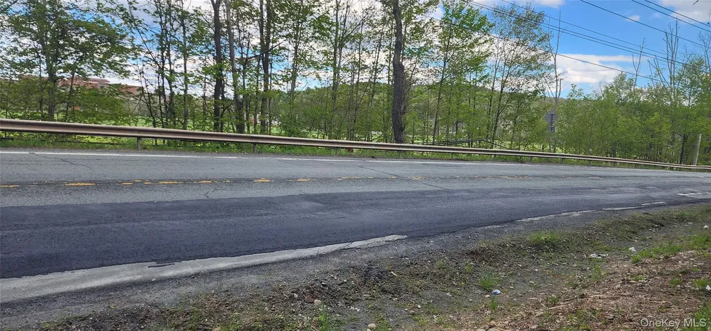 RT-42 Fallsburg NY 12733