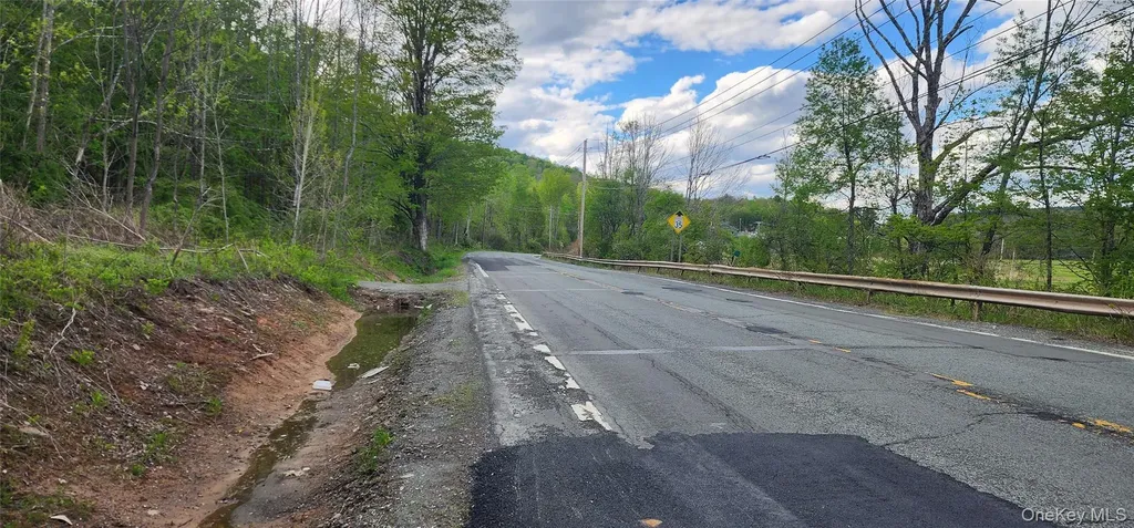 RT-42 Fallsburg NY 12733