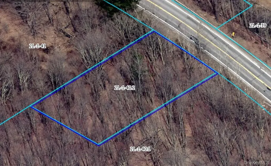 RT-42 Fallsburg NY 12733
