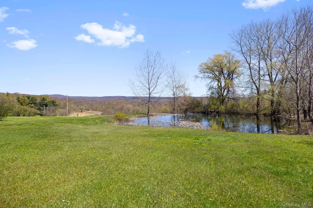 150 Sawchuck Road Millerton NY 12546