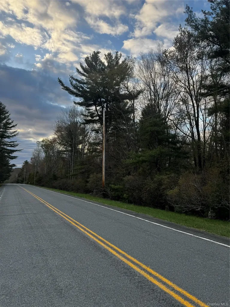 Tbd 000 Ulster Heights Road Fallsburg NY 12733