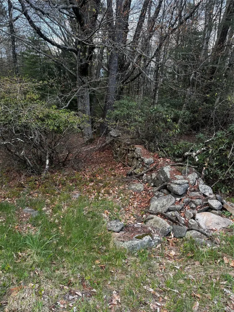 Tbd 000 Ulster Heights Road Fallsburg NY 12733
