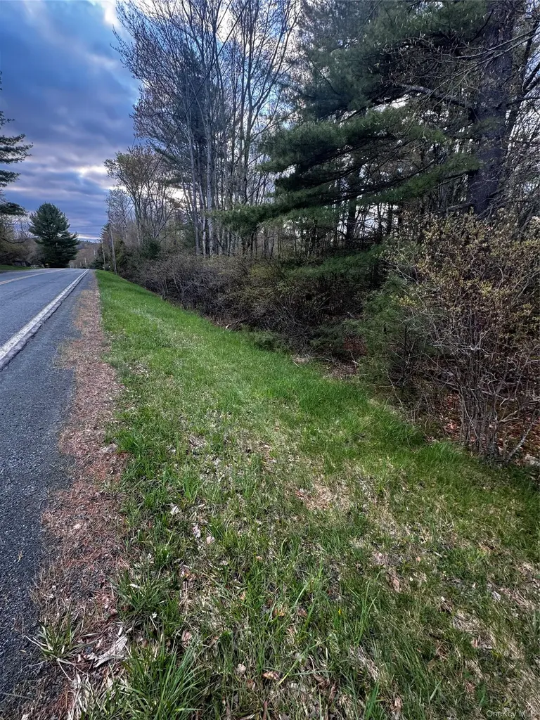 Tbd 000 Ulster Heights Road Fallsburg NY 12733