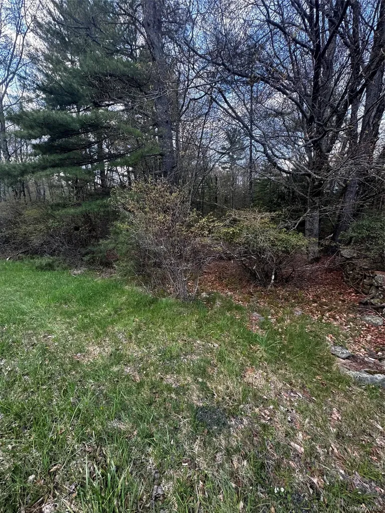 Tbd 000 Ulster Heights Road Fallsburg NY 12733