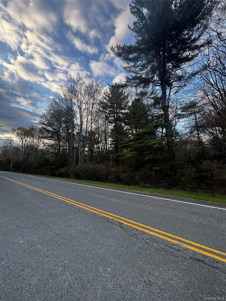 Tbd 000 Ulster Heights Road Fallsburg NY 12733