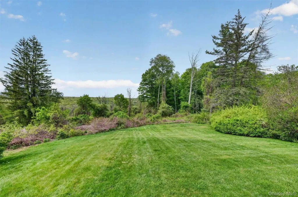8 Meadow Court Carmel NY 10512