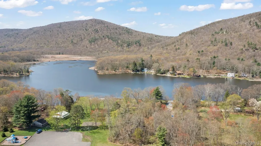 60 Stissing Avenue Pine Plains NY 12567