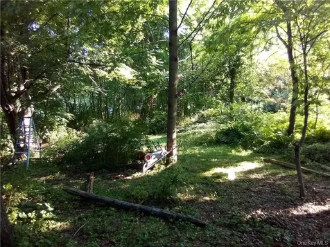 71 Honeywell Lane Hyde Park NY 12538