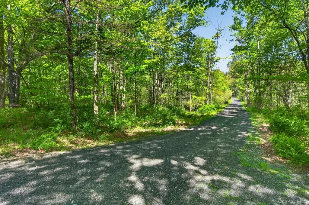 428 Prosperous Valley Road Middletown NY 10940