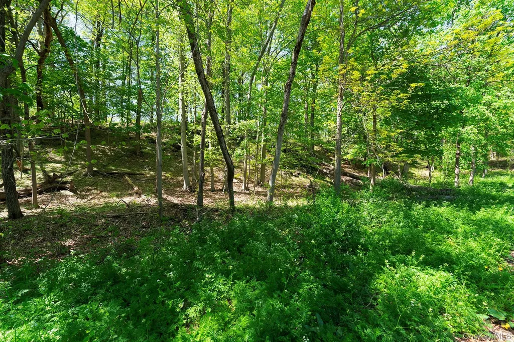 21 Van Dam Road Hyde Park NY 12538