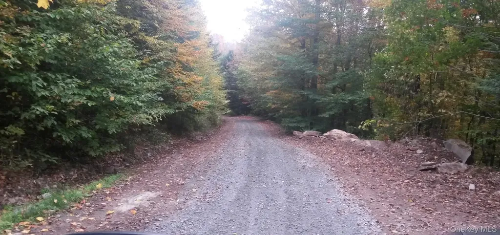 Quarry Road Hancock NY 13783