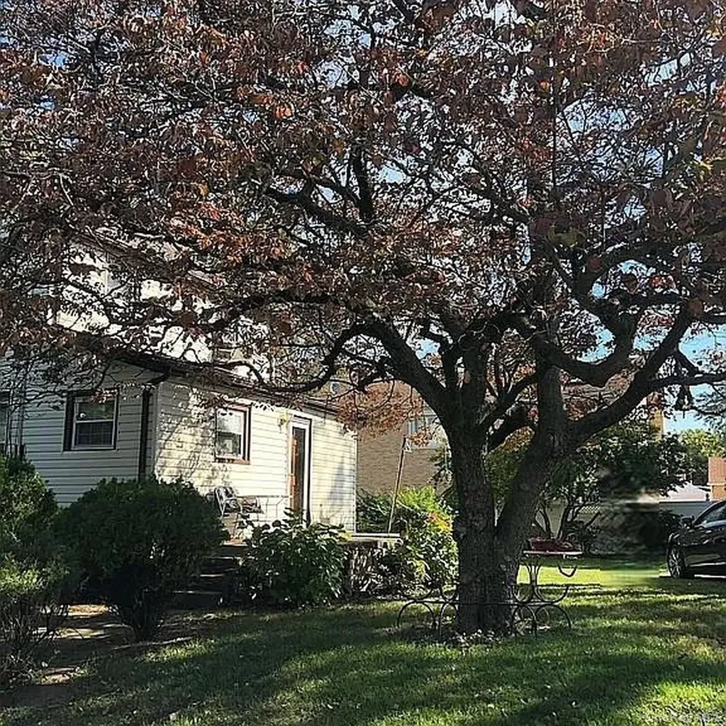 16702 73rd Avenue Fresh Meadows NY 11366