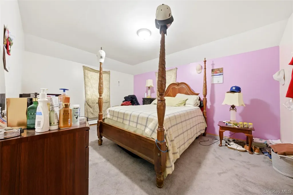 220-19 146th Avenue Springfield Gardens NY 11413
