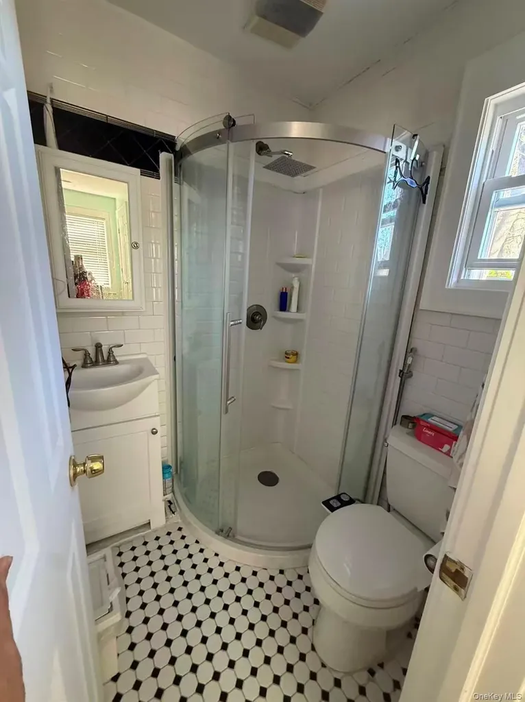 243 Jackson Avenue Syosset NY 11791