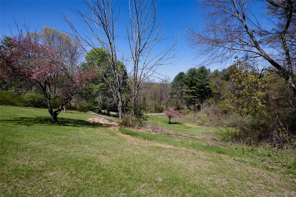 32 Cole Road Pleasant Valley NY 12569