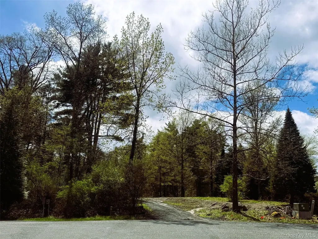 147 Putt Lane Kingston NY 12401
