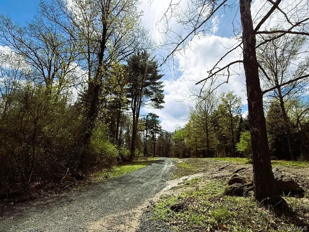 147 Putt Lane Kingston NY 12401