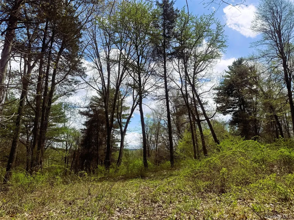 147 Putt Lane Kingston NY 12401
