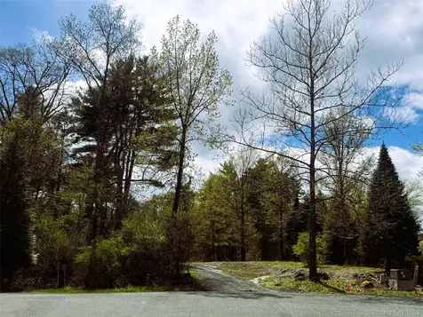 147 Putt Lane Kingston NY 12401