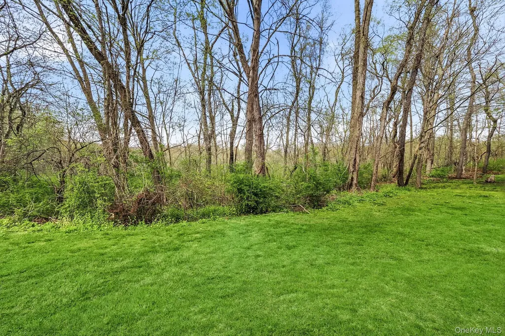 314 Cornwall Meadows Lane Patterson NY 12563