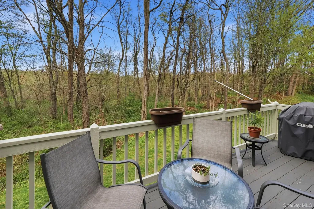 314 Cornwall Meadows Lane Patterson NY 12563